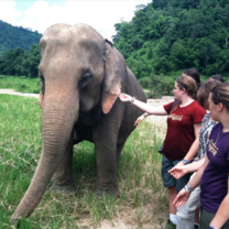 Thailand Summer: Sustainability and Spirituality in the Land of Smiles