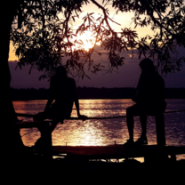 Cambodia: Peace-Building and Conservation