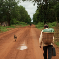 Cambodia: Peace-Building and Conservation