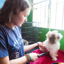 Affordable Volunteer Programs in Guatemala from $320
