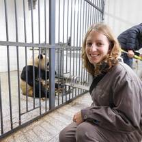 Panda Conservation Volunteer