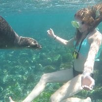 Swimming with Sea Lions
