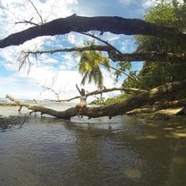 Puerto Viejo
