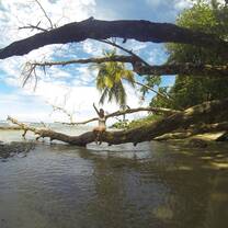 Puerto Viejo