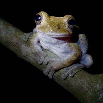 Enjoy wildlife and get connected to conservation efforts!