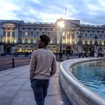 The fountains of the palace