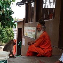 Temple visits