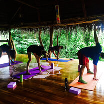 Yoga Classes