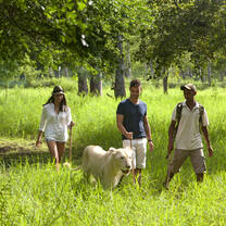 Walking with lions at Casela Park