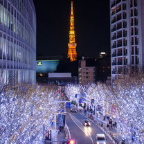 Tokyo Tower against Winter Illuminations