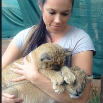 Volunteering in Africa - Baby lions
