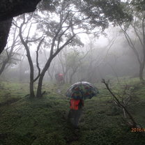 Trekking