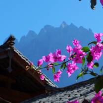 China Semester: South of the Clouds