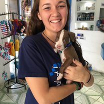 A rescue puppy at a veterinary clinic 