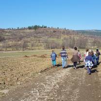 Field Trip