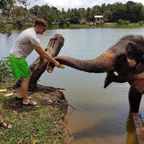 Feeding one of the elephants (Khurmari)