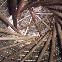 Reciprocal Roof