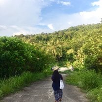 The foresty landscape in Ranong Province 