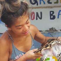 GoEco Sea Turtles Projects