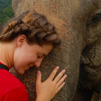 Service Learning at the Elephant Conservation Park Thailand Summer Program with Pacific Discovery