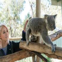 GoEco Wild Animal Sanctuary