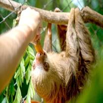 GoEco Animal Rescue and Conservation