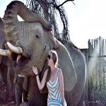 GoEco African Wildlife Ranch