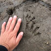 NATUCATE: Nature Guide Courses in South Africa