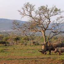 NATUCATE: Nature Guide Courses in South Africa