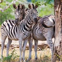 NATUCATE: Nature Guide Courses in South Africa