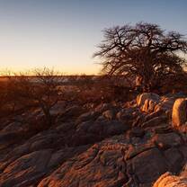 NATUCATE: Nature Guide Courses in South Africa