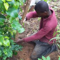Farm volunteer action