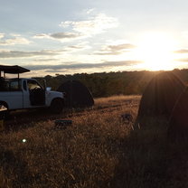 Camping on the grassland