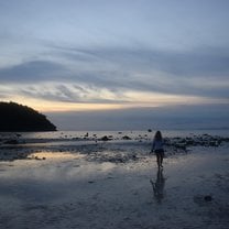 Koh Phi Phi island