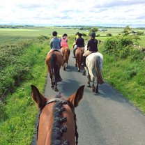 Harelaw Horse Trek