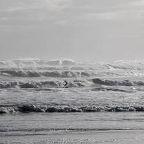 Surfing at Muriwai Beach (North Island)