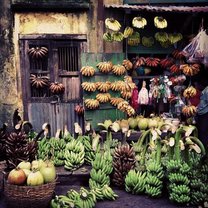 Bananas hanging on a wall in Yangon, Myanmar.