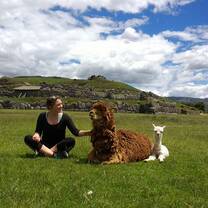 Making friends