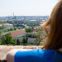 TEFL prague