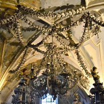 skulls hanging in cathedral