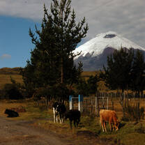 Landscape and Views Ecuador
