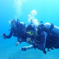 Diving