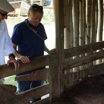 Visting the pigs on the farm