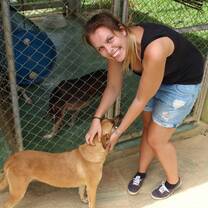 Giving affection to streetdogs