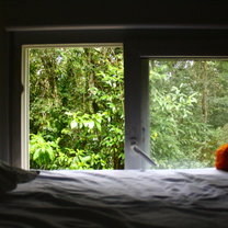 room with a view 