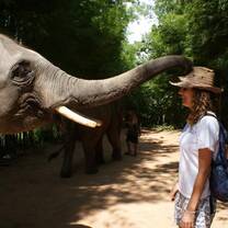 tefl course thailand