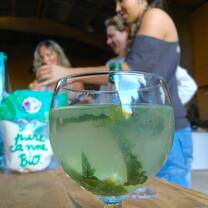 eco-volunteer in france
