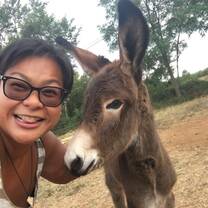 eco-volunteer in france