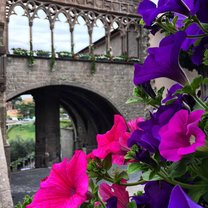 San Pellegrino in Fiore at Piazza San lorenzo/Palazzo dei Papi