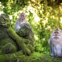 Ultimate Bali 10 Day Tour